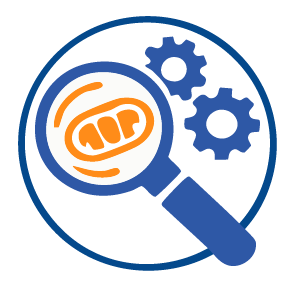 Mechanism of Action icon