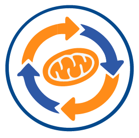 Metabolic diseases icon